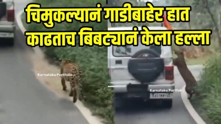 Terrifying Video: Leopard Attacks 13-Year-Old Boy During Safari At Bengaluru's Bannerghatta Biological