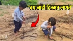 “वय नाही हिम्मत लागते” काठीनं तोंड दाबलं, अंदाज घेतला अन् क्षणात पकडला साप; चिमुकल्याचं धाडस पाहून व्हाल हैराण, थरारक VIDEO व्हायरल