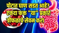 अनेक आठवडे पोट साफ होत नाहीये? पोटात घाण सडत आहे? एकदा फक्त “या” प्रकारे त्रिफळाचे सेवन करा, सगळी घाण बाहेर पडेल