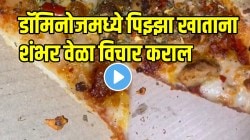 बापरे! डॉमिनोजमध्ये आवडीने पिझ्झा खाताय? थांबा! “हा” धक्कादायक VIDEO पाहून झोप उडेल, यापुढे पिझ्झा खाताना शंभर वेळा विचार कराल