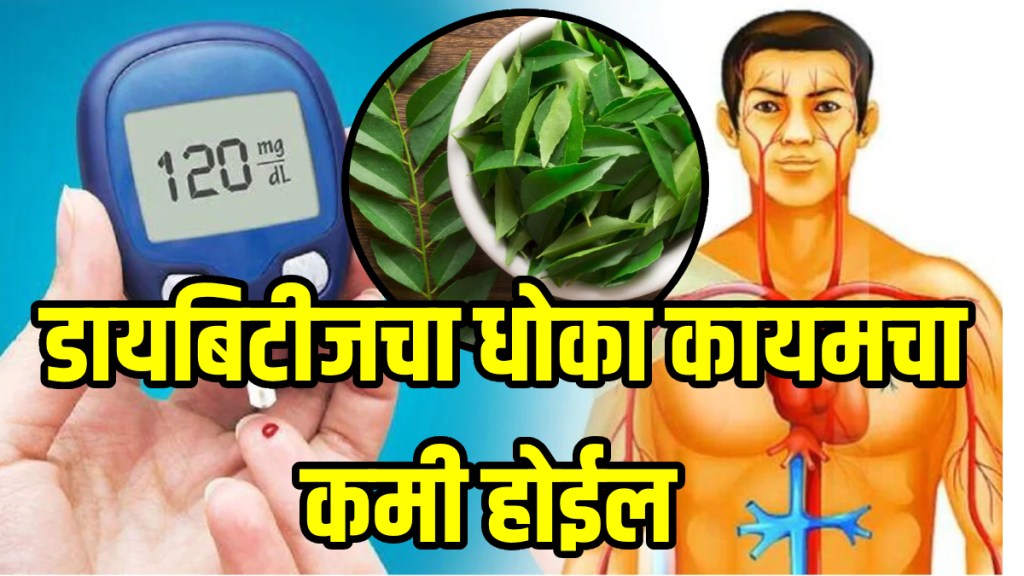 Amazing benefits of curry leaves for blood sugar control leaves can increase insulin level naturally