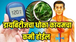 ब्लड शुगर कधीच वाढणार नाही; डायबेटीसचा धोका कायमचा कमी होईल, फक्त रोज सकाळी ‘या’ प्रकारे करा कढीपत्त्याचं सेवन