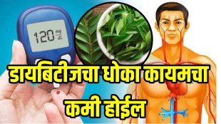 Amazing benefits of curry leaves for blood sugar control leaves can increase insulin level naturally