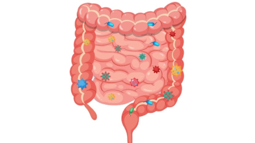 Stomach cancer symptoms