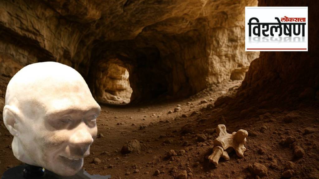Homo antecessor cannibalism evidence