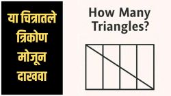 फेसबुकवर नवं डोकं फिरवणारा प्रश्न; सांगा पाहू या चित्रात तुम्हाला किती त्रिकोण दिसतात? गणितात हुशार आहात, मग पटकन द्या उत्तर