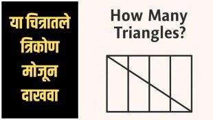Triangle Puzzle Challenge