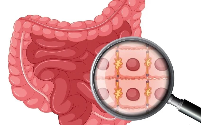 Pavanamuktasana benefits, yoga for stomach issues, easy yoga for digestion