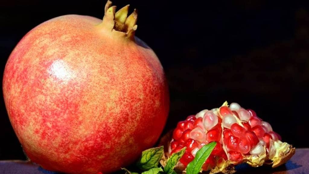 Pomegranate fetches record price of Rs 311 per kg in Atpadi