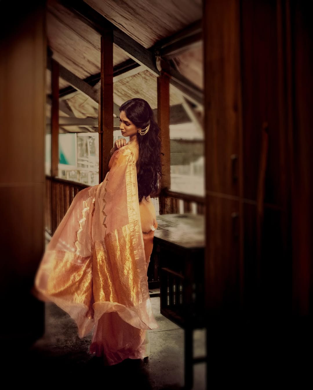 Priyadarshini indalkar saree look