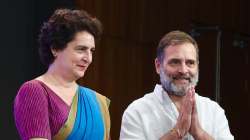“माझा भाऊ भारतीय लष्कराविरोधात…”, सर्वोच्च न्यायालयाच्या टिप्पणीवर प्रियांका गांधी काय म्हणाल्या?