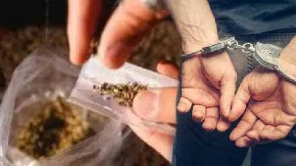 Pune ganja smuggling in arrested 26 kg of ganja seized