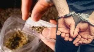 Pune ganja smuggling in arrested 26 kg of ganja seized