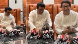 “ये पिल्लू…”, राज ठाकरेंचा छोटा श्वान थेट पत्रकार परिषदेत येतो तेव्हा, पुढे झालं असं…