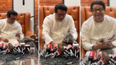 राज ठाकरे बोलत असताना अचानक पत्रकार परिषदेत त्यांचा कुत्रा आला, पुढे झालं असं…