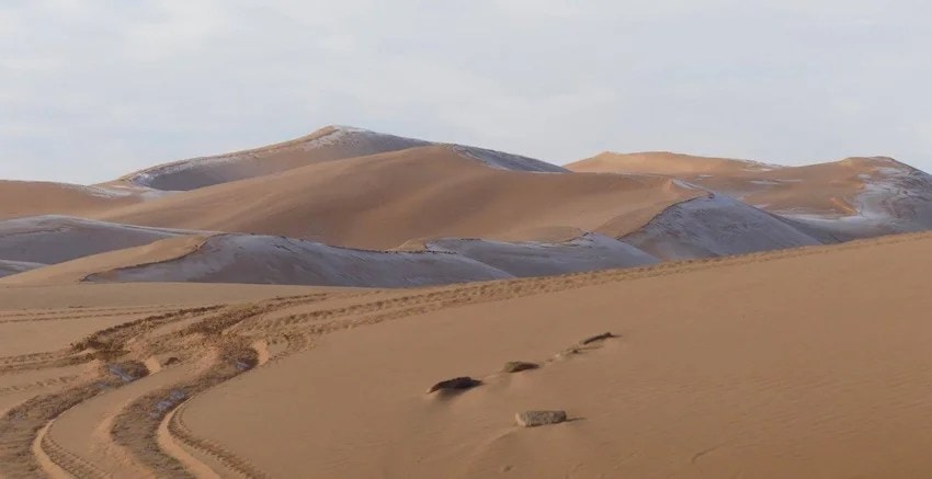 desert 