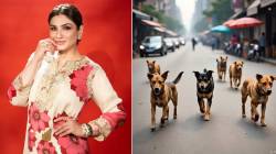 Raveena Tandon : “डॉगेश भाई आगे बढो…”; भटक्या कुत्र्यांबाबत ‘सर्वोच्च’ निर्णय आल्यानंतर रवीना टंडनची पोस्ट
