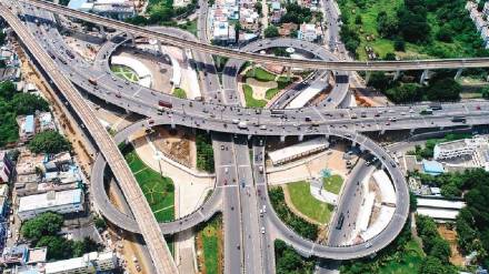 Replanting of trees threatened by Pune Ring Road Replanting of trees threatened by Pune Ring Road
