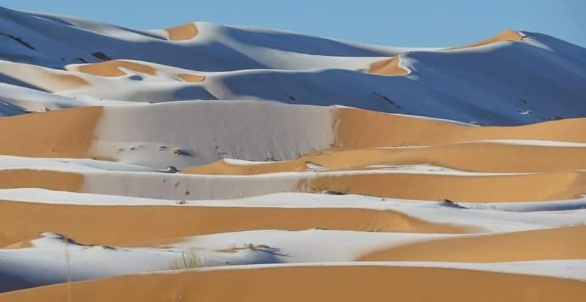 desert 