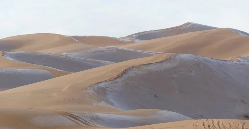desert 