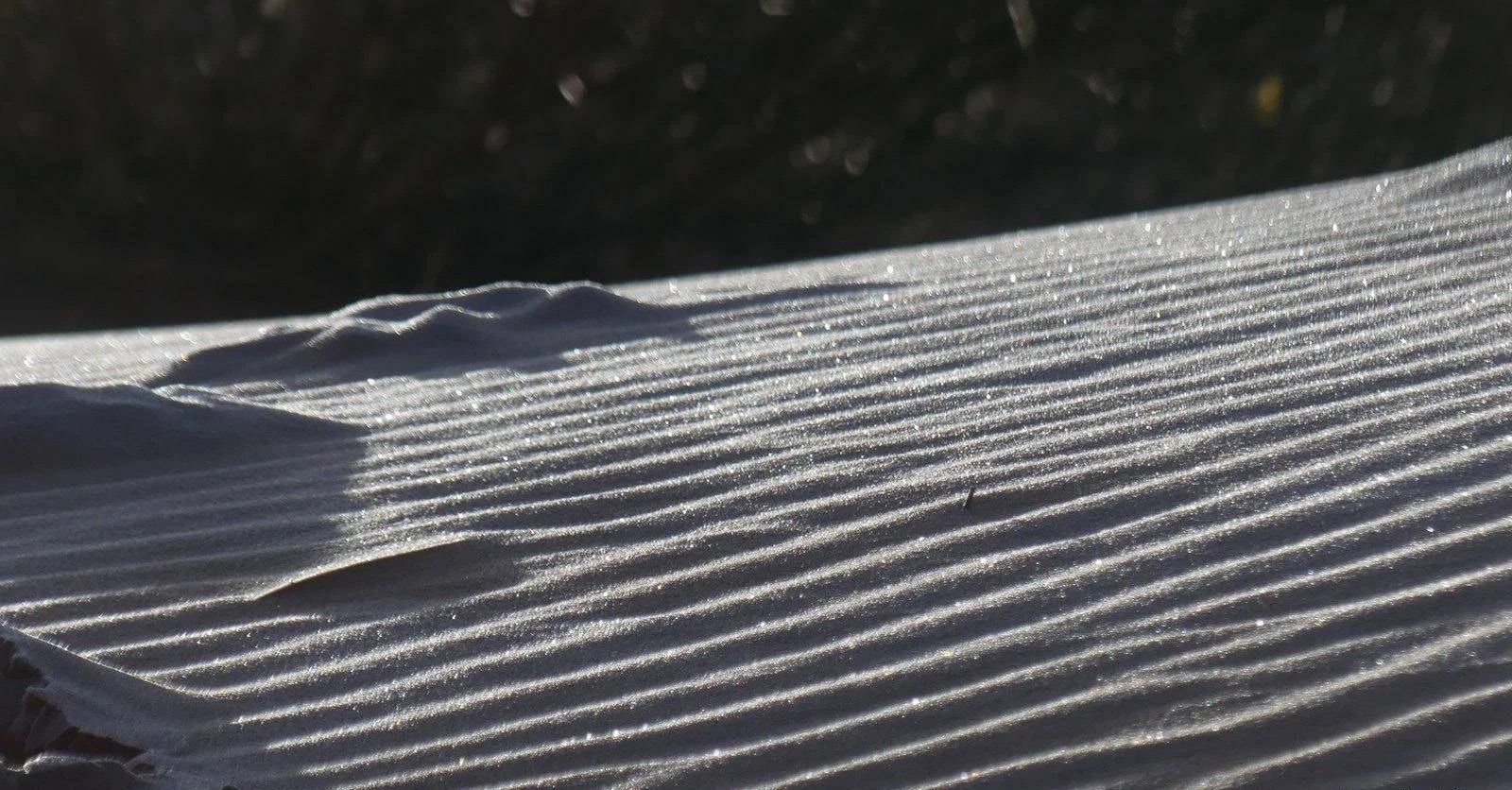desert 