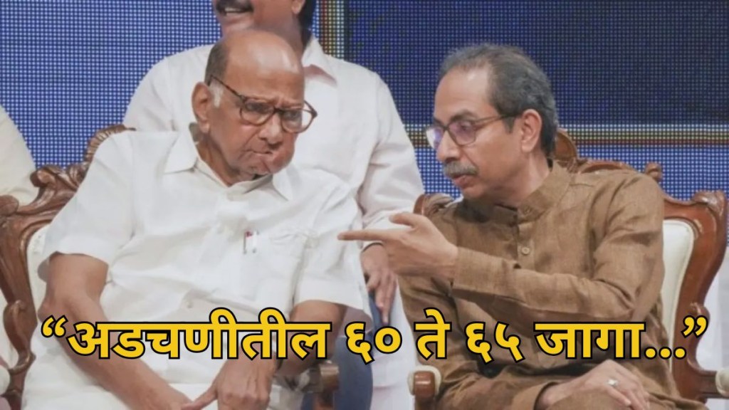 माजी केंद्रीय मंत्री शरद पवार आणि माजी मुख्यमंत्री उद्धव ठाकरे. (Photo: PTI)