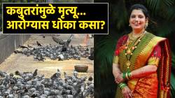 ‘कबुतराच्या विष्ठेमुळे जीव जातो, लोकांना हे कळायला हवं’, मुलीचा दुर्दैवी मृत्यू झाल्यानंतर पुण्यातील माजी नगरसेवकाकडून जनजागृती