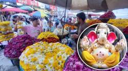 गणेशोत्सवात फुलांचा तुटवडा ! प्रति किलो १६० ते २०० रुपये दर अपेक्षित
