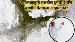 पावसाळा दिलासा देतो, पण घरात बुरशीचा धोका वाढवतो! या ७ उपायांनी पावसाळ्यात बुरशीचा करा नायनाट