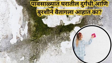 Simple Tips to Keep Fungus Away During the Monsoon
