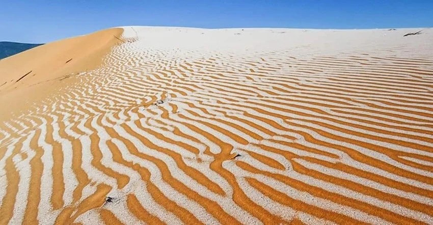 desert 