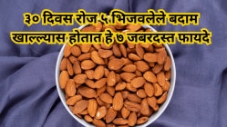 ३० दिवस रोज ५ भिजवलेले बदाम खाल्ल्यास होतात हे ७ जबरदस्त फायदे; तज्ज्ञांचा सल्ला