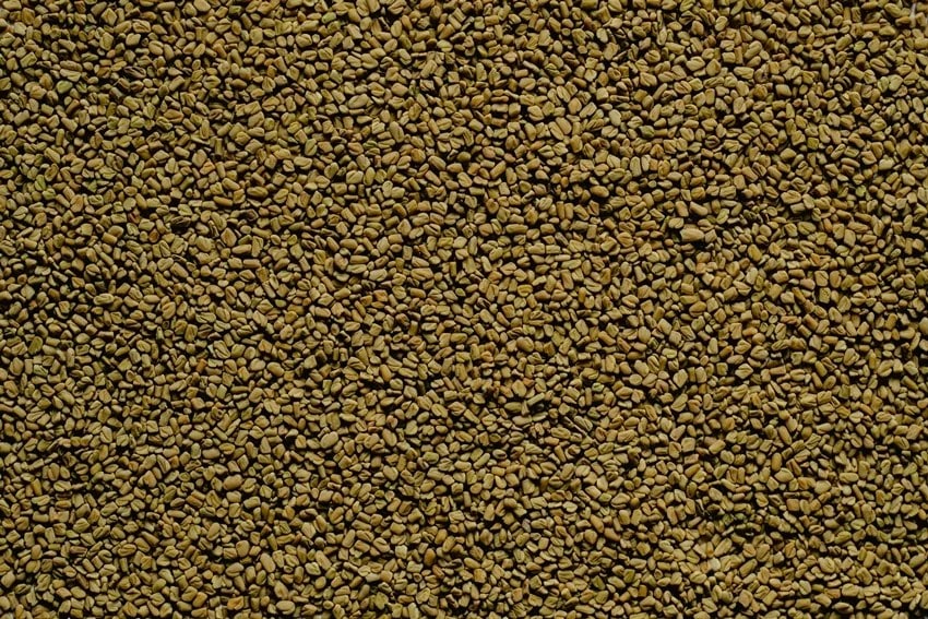 Heart health herbs, Ayurvedic herbs for heart, Natural remedies for heart health