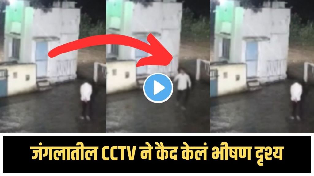 Tiger Encounter Viral Video