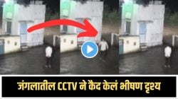 बापरे! वनकर्मी अंधारात बाहेर पडताच अचानक झुडपांमधून आली सावली, वनकर्मीला काय दिसलं? Video पाहून तुमचंही हृदय जोरात धडधडेल