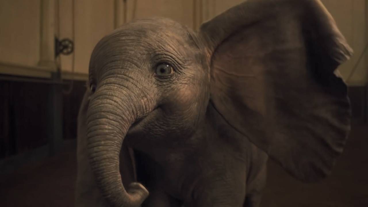 Top Movies on human and elephants bond Mahadevi elephant Kolhapur vantara
