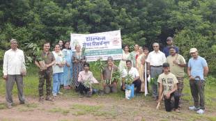 Tree plantation in Dandoba area of Sangli