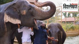 Supreme Court forms SIT to probe Vanatara wildlife centre over animal transfers and legal violations