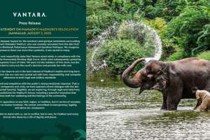 Vantara on Madhuri Elephant