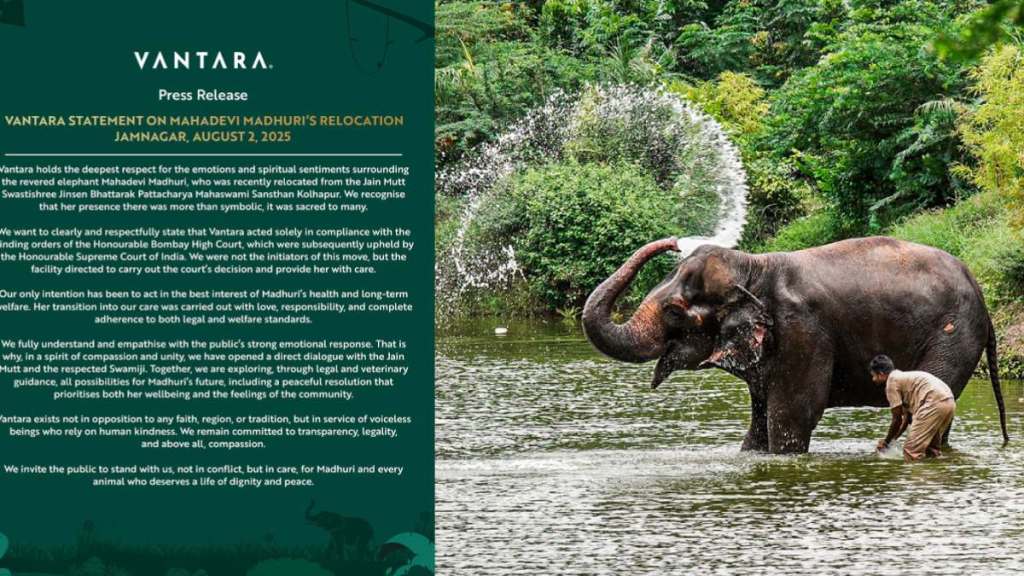 Vantara on Madhuri Elephant