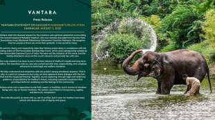 Vantara on Madhuri Elephant