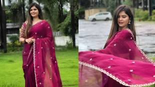 Veena jagtap Pink Color Chiffon saree look