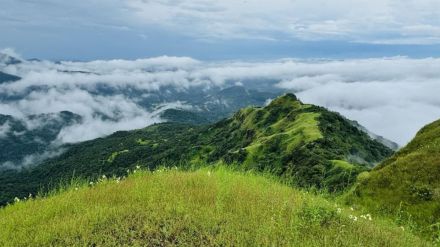 Forest Advisory Committee rejects Hindalcos bauxite mining project in Western Ghats citing ecological sensitivity Kolhapur news