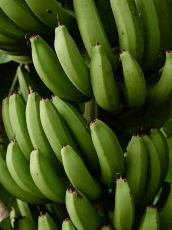 What Happens When You Eat One Banana Every Day for a Month