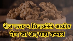 रोज फक्त २ भिजवलेले अक्रोड खा, LDL कोलेस्ट्रॉल होईल झटक्यात कमी! वाचा, हृदयाच्या आरोग्याचं गुपित