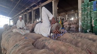 onion prices Solapur, Solapur onion market, onion supply decline, onion farmers crisis, agricultural produce market Solapur,
