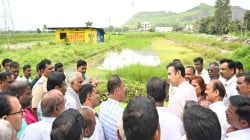 सातारा : महामार्गाच्या कामामुळे ९० हेक्टर शेती पाण्याखाली, आमदार डॉ अतुल भोसलेंकडून नुकसानग्रस्तांना दिलासा