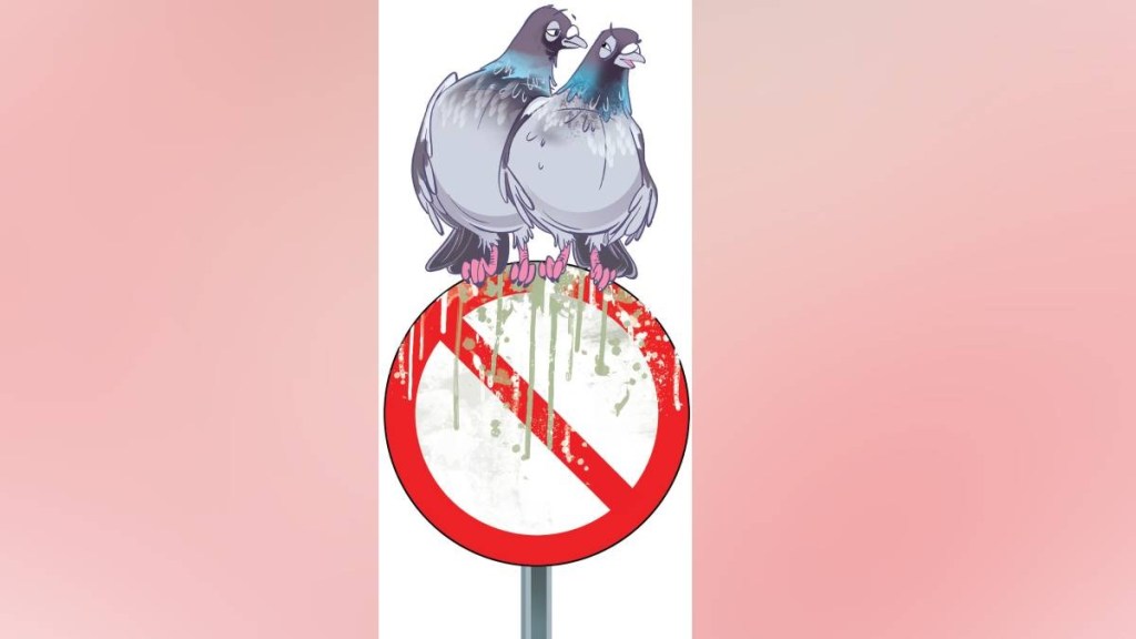 लोकरंग durga bhagwat on pigeon menace
