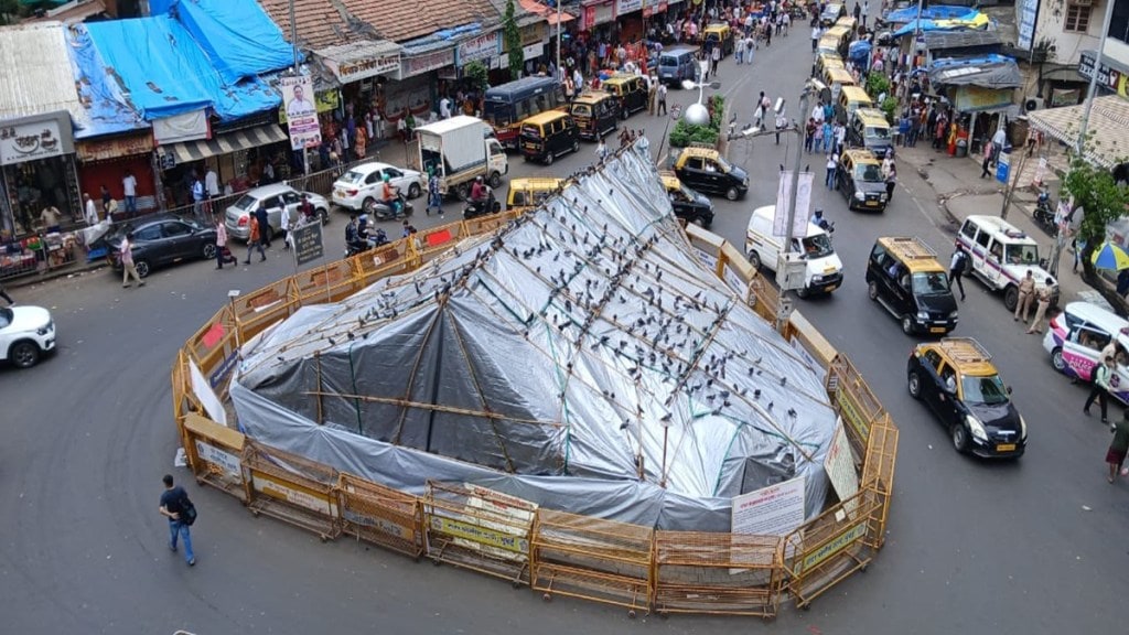 Mumbai pigeon feeding, controlled pigeon feeding Mumbai, pigeon house controversy Mumbai,