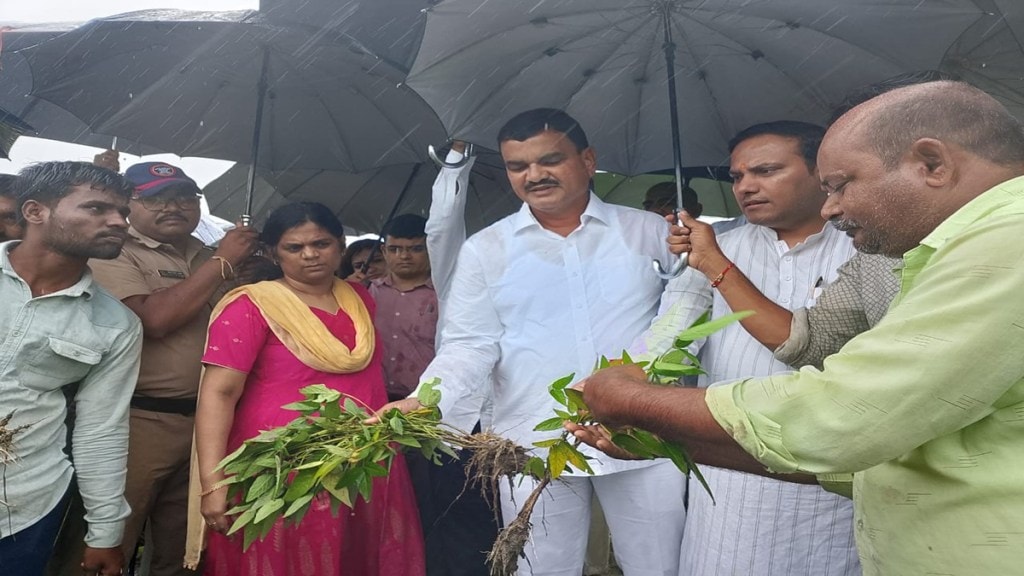 Akola heavy rain, Dattatray visit Akola, heavy rainfall damage, Washim farmer aid, crop damage relief,